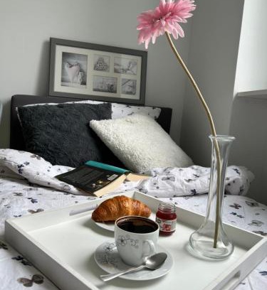 Jedlina-Zdroj Apartamento | Apartament Jedlinka