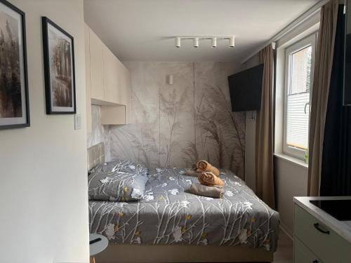 Lubniewice Apartamento | Apartament K&M w Lubniewicach