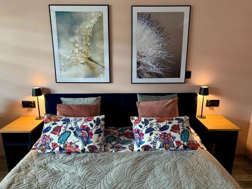 Krasnystaw Apartamento | Apartament Krasnostawski