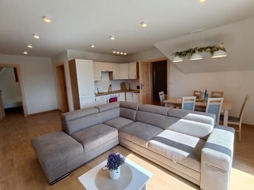 Gliczarow Gorny Apartamento | Apartament Kwiat Paproci