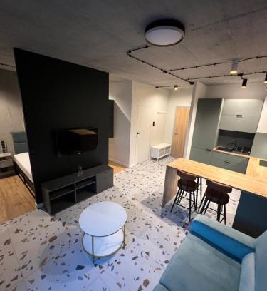 Chorzow Apartamento | Apartament LOFT M84