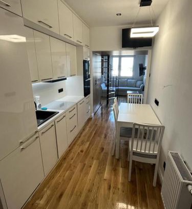 Turek Apartamento | Apartament Milewskiego