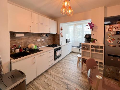 Calimanesti Apartamento | Apartament Popescu
