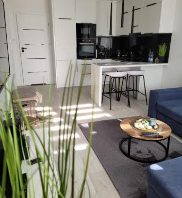 Wilkasy Apartamento | Apartament Portowy