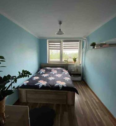 Katowice Apartamento | Apartament przy Parku Śląskim