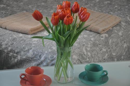 Pulawy Apartamento | Apartament przy Parku Czartoryskich