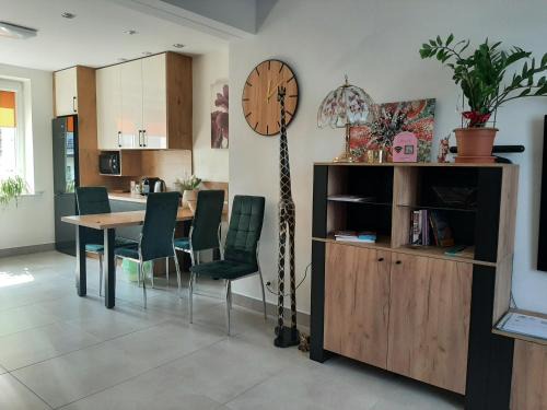 Tomaszow Mazowiecki Apartamento | Apartament Renii