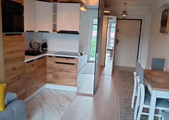 Nowy Sacz Apartamento | Apartament Sądecki