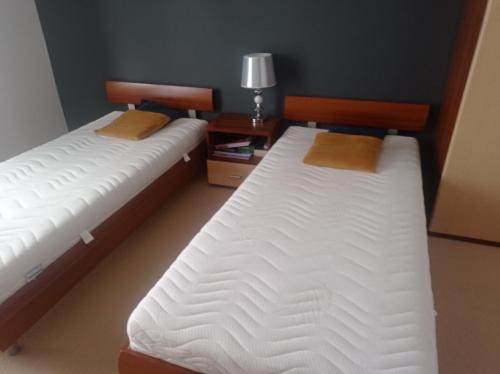 Krynica-Zdroj Apartamento | Apartament Tadeusz 2 C