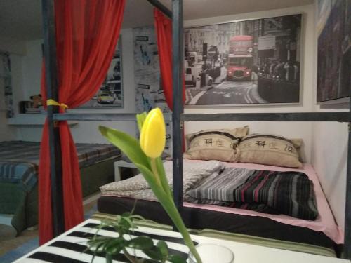 Plock Apartamento | APARTAMENT W CENTRUM NOCLEGI PŁOCK