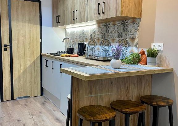 Radom Apartamento | Apartament w sercu miasta
