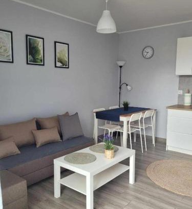 Wejherowo Apartamento | Apartament Wałowa 2