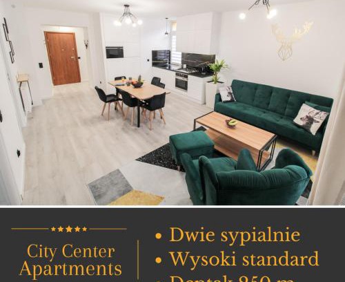 Krynica-Zdroj Apartamento | Apartament Złoty Jeleń