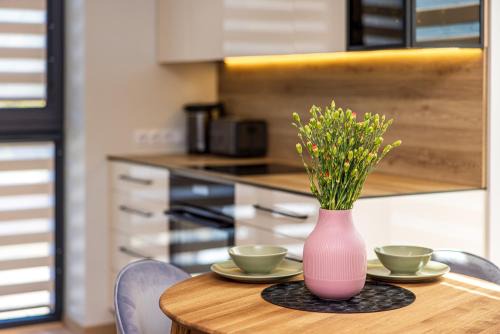 Palanga Apartamento | Apartamentas Vanagupės parke