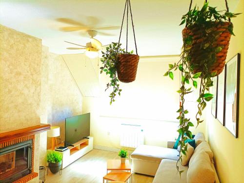 Jaca Apartamento | Apartamento Alba