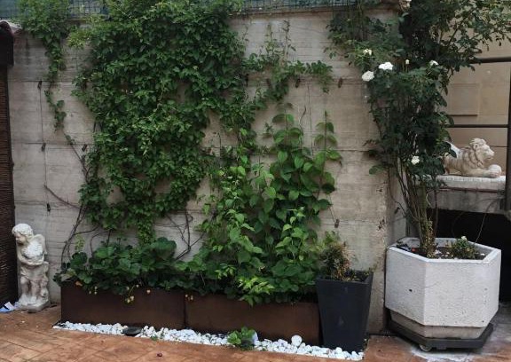 Ezcaray Apartamento | Apartamento con jardin