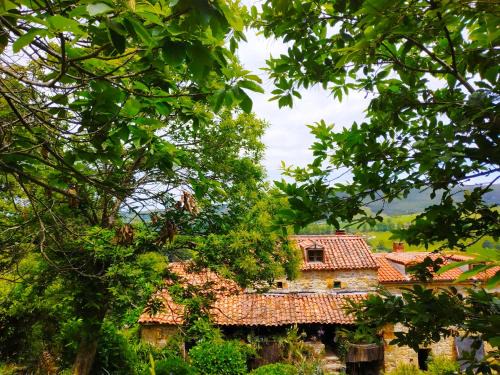 Riotuerto Apartamento | Apartamento en Plena Naturaleza