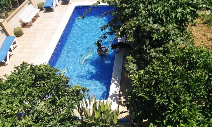 Argentona Apartamento | Apartamento Mar y Montaña