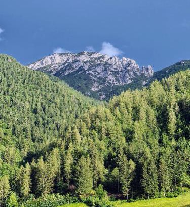 San Colombano Apartamento | Apartamento Pino Verde in San Colombano VT Vista, Natura, Wifi