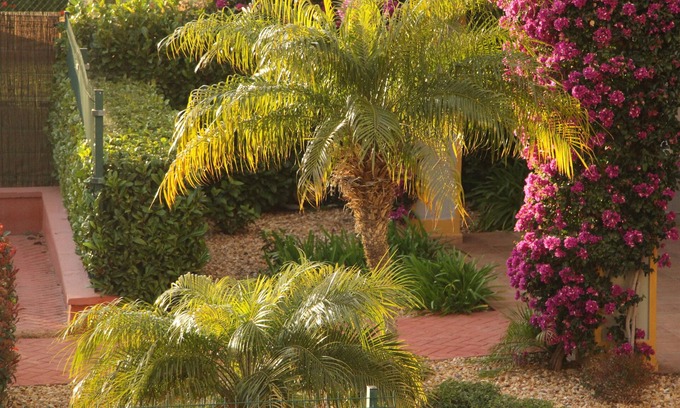 Costa Esuri Apartamento | Apartamentos Costa de la Luz Costa Esuri -