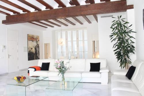 Ciutat Vella Apartamento | Apartamento Reina Catedral