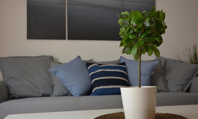 Puerto de Guimar Apartamento | Apartamento Salitre con Aire Acondicionado