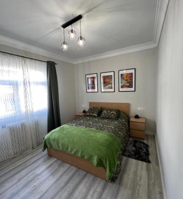 Monforte de Lemos Apartamento | Apartamento Turístico Plaza I