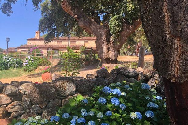 Valencia de Alcantara Apartamento | Apartamentos Rurales La Macera ****