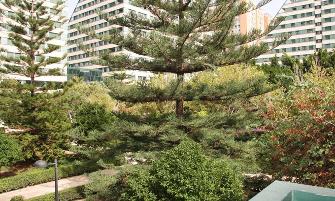 Ciutat de les Arts i les Ciencies Apartamento | Apartamentos Las Ciencias D