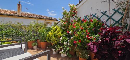 Ronda Apartamento | Apartamentos Los Descalzos Ángel With Private Terrace Free Parking