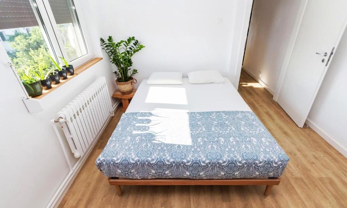 Doua Mai Apartamento | Apartamentul cu plante Etaj 4