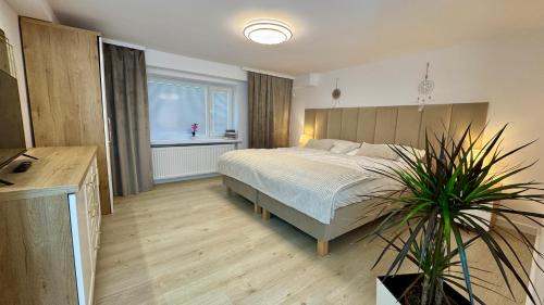 Bochnia Apartamento | Apartamenty Oracka Przystań Solna 1