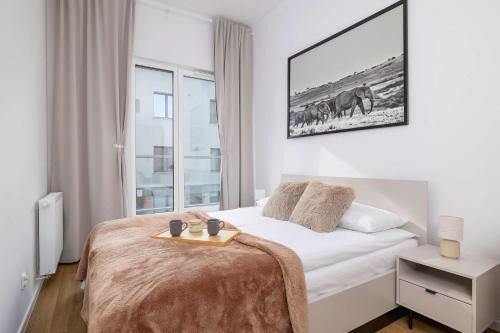 Katowice Apartamento | Apartamenty Słoneczna z Parkingiem w Katowicach by Noclegi Renters