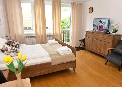 Uniejow Apartamento | Apartamenty Targowa 38