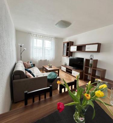 Frymburk Apartamento | Apartmán Žižka