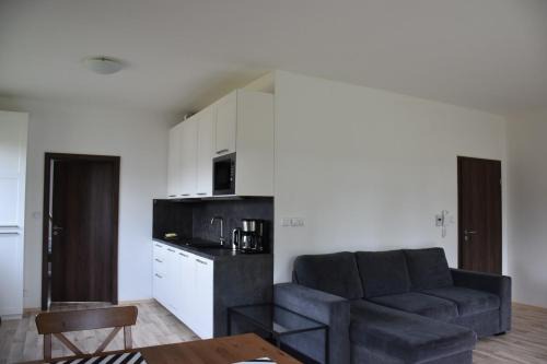 Cerny Dul Apartamento | Apartmán 198
