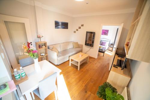 Jablonec nad Jizerou Apartamento | Apartmán Andrasa v Krkonoších se saunou a terasou