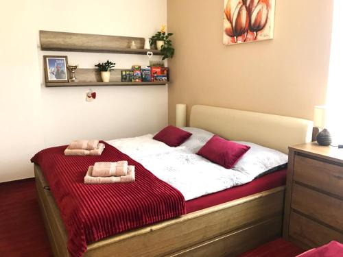 Strbske Pleso Apartamento | Apartmán Crocus 313