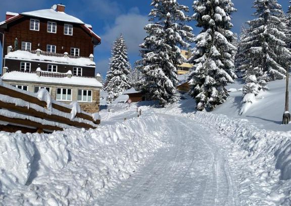 Stare Hamry Apartamento | Apartmán Meluzína