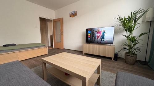Loucna nad Desnou Apartamento | apartmán pod turbínou