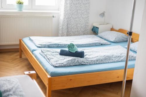 Znojmo Apartamento | Apartmán U Šálků