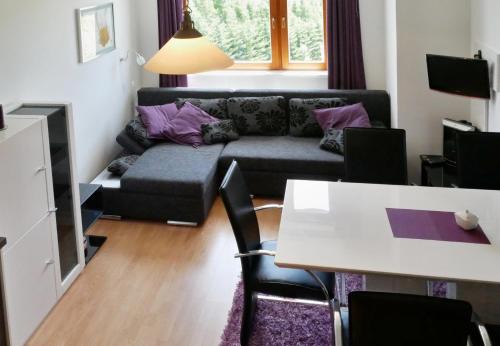 Ostruzna Apartamento | Apartmán U Sjezdovky