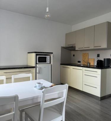 Trebon Apartamento | Apartmán v centru