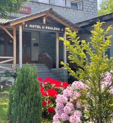Borovany Apartamento | Apartmány IMLADRIS, Hotel u pralesa