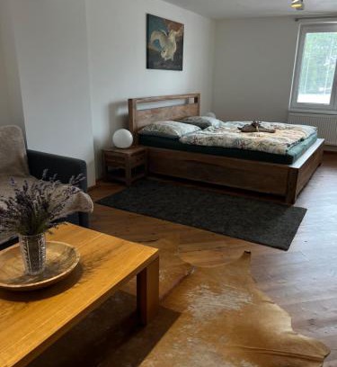 Dolni Ujezd Apartamento | Apartmány MonTexas