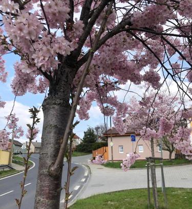 Plzen 6-Litice Apartamento | Apartmány na Vršku
