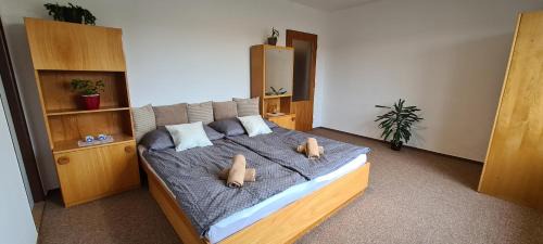 Hamry nad Sazavou Apartamento | Apartmány Zelená Hora s velkou zahradou