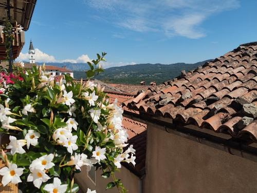 Ajdovscina Apartamento | Apartma Helena