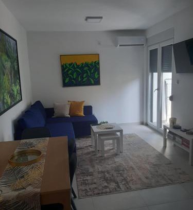 Banja Koviljaca Apartamento | Apartman Đorđe