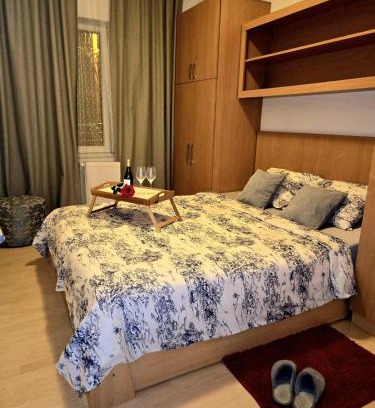 Pozarevac Apartamento | Apartman 77